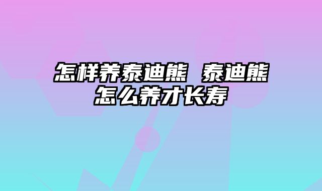 怎样养泰迪熊 泰迪熊怎么养才长寿