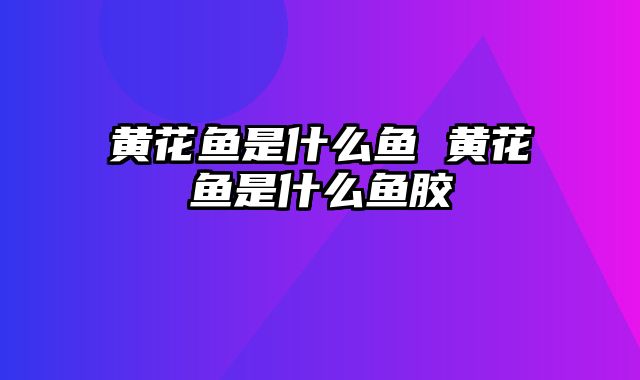 黄花鱼是什么鱼 黄花鱼是什么鱼胶