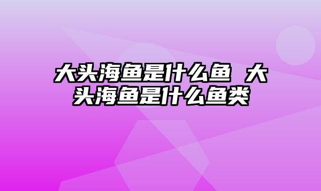 大头海鱼是什么鱼 大头海鱼是什么鱼类