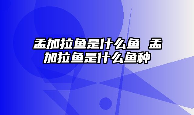 孟加拉鱼是什么鱼 孟加拉鱼是什么鱼种