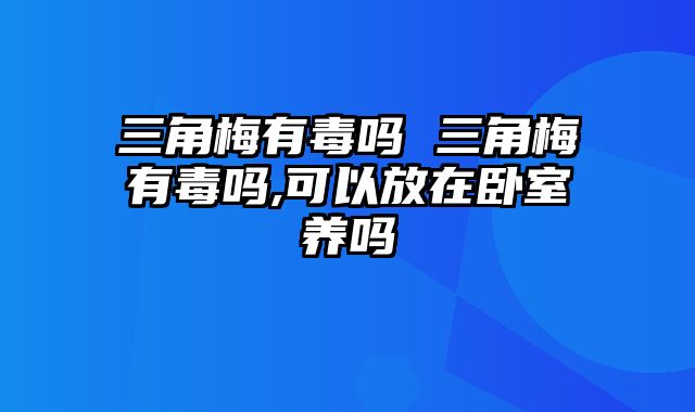 三角梅有毒吗 三角梅有毒吗,可以放在卧室养吗