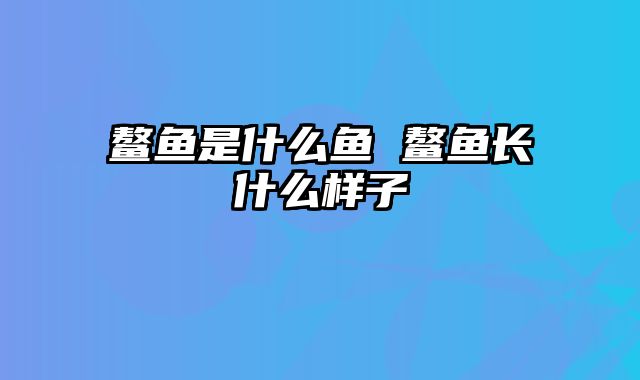 鳌鱼是什么鱼 鳌鱼长什么样子