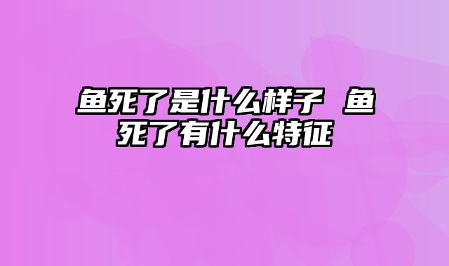 鱼死了是什么样子 鱼死了有什么特征