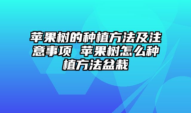 苹果树的种植方法及注意事项 苹果树怎么种植方法盆栽