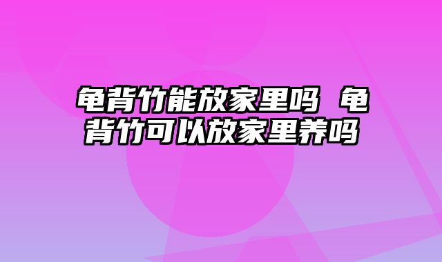 龟背竹能放家里吗 龟背竹可以放家里养吗