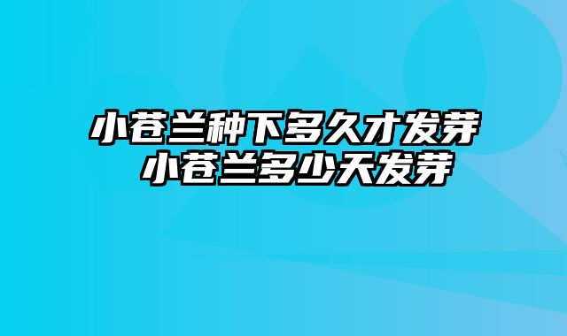 小苍兰种下多久才发芽 小苍兰多少天发芽 