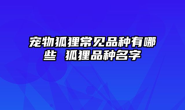 宠物狐狸常见品种有哪些 狐狸品种名字 