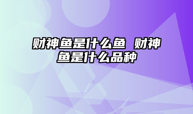 财神鱼是什么鱼 财神鱼是什么品种