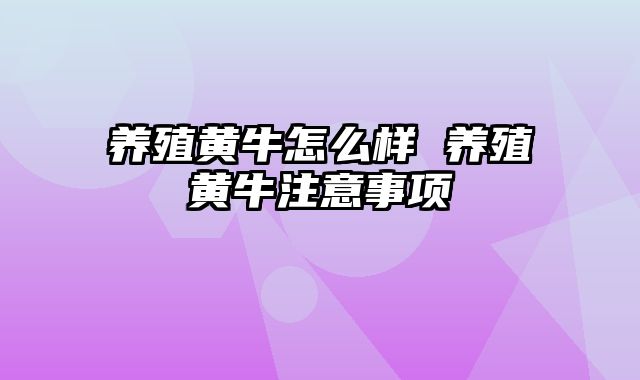 养殖黄牛怎么样 养殖黄牛注意事项