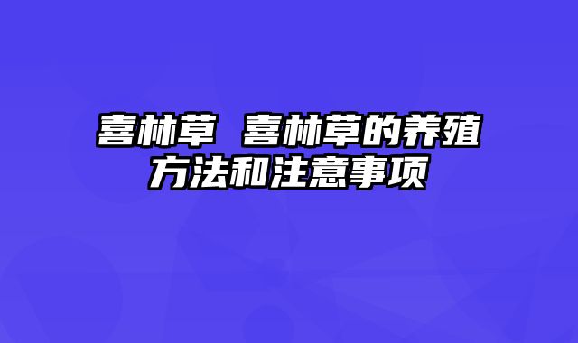 喜林草 喜林草的养殖方法和注意事项