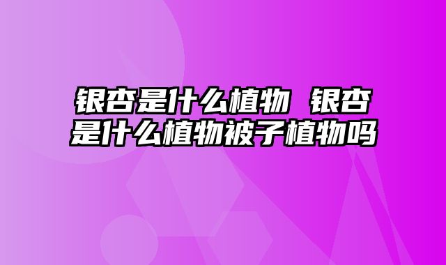 银杏是什么植物 银杏是什么植物被子植物吗