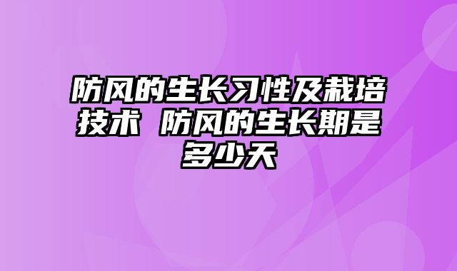 防风的生长习性及栽培技术 防风的生长期是多少天