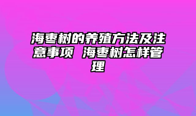 海枣树的养殖方法及注意事项 海枣树怎样管理