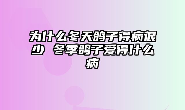 为什么冬天鸽子得病很少 冬季鸽子爱得什么病