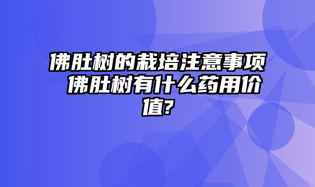 佛肚树的栽培注意事项 佛肚树有什么药用价值?