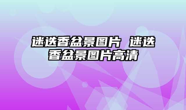 迷迭香盆景图片 迷迭香盆景图片高清