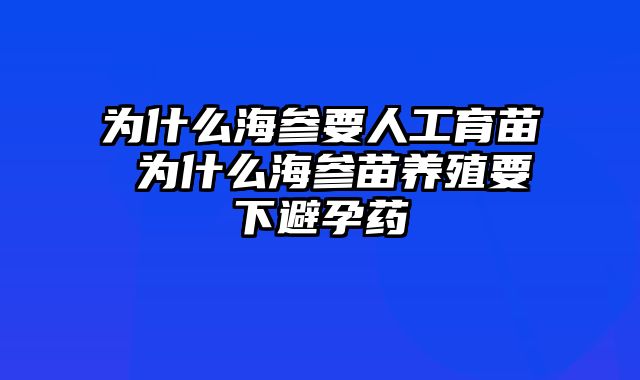 为什么海参要人工育苗 为什么海参苗养殖要下避孕药