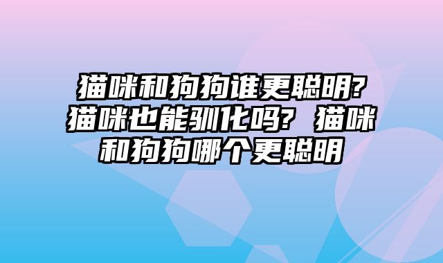 猫咪和狗狗谁更聪明?猫咪也能驯化吗? 猫咪和狗狗哪个更聪明