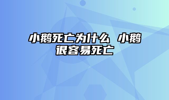 小鹅死亡为什么 小鹅很容易死亡