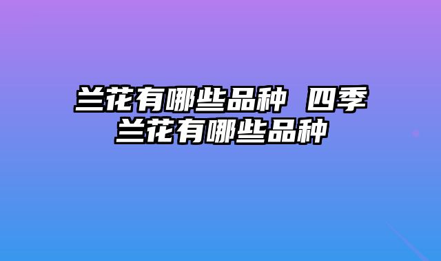 兰花有哪些品种 四季兰花有哪些品种