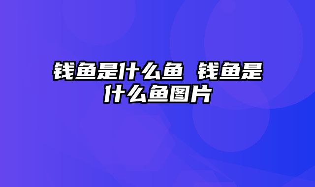 钱鱼是什么鱼 钱鱼是什么鱼图片