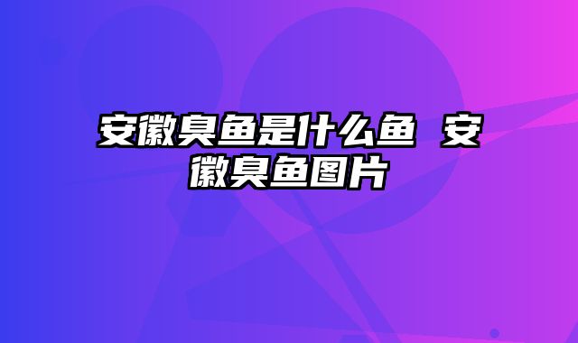 安徽臭鱼是什么鱼 安徽臭鱼图片