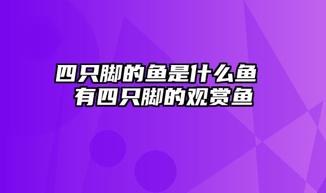 四只脚的鱼是什么鱼 有四只脚的观赏鱼