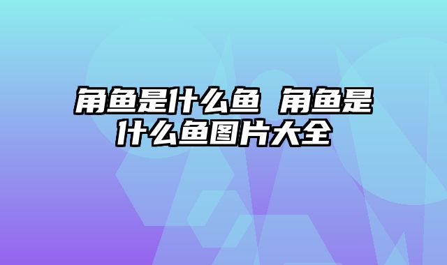 角鱼是什么鱼 角鱼是什么鱼图片大全