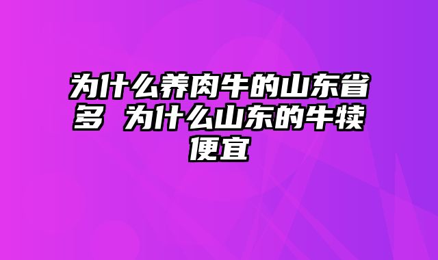 为什么养肉牛的山东省多 为什么山东的牛犊便宜