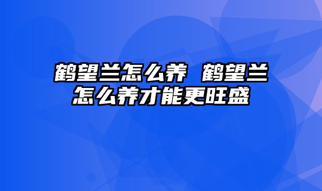 鹤望兰怎么养 鹤望兰怎么养才能更旺盛