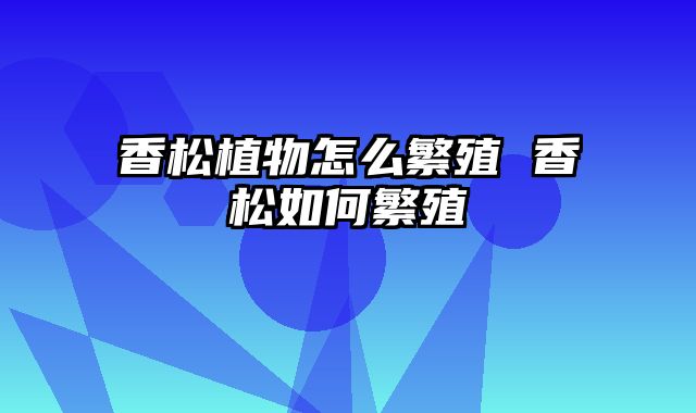 香松植物怎么繁殖 香松如何繁殖