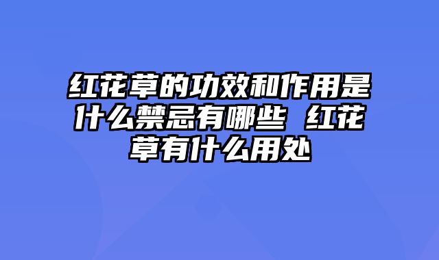 红花草的功效和作用是什么禁忌有哪些 红花草有什么用处