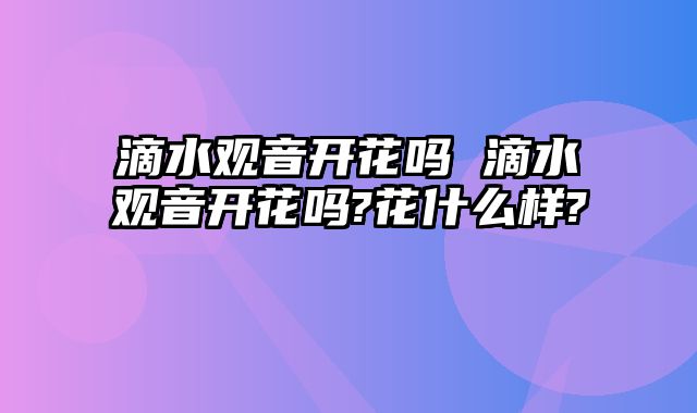 滴水观音开花吗 滴水观音开花吗?花什么样?