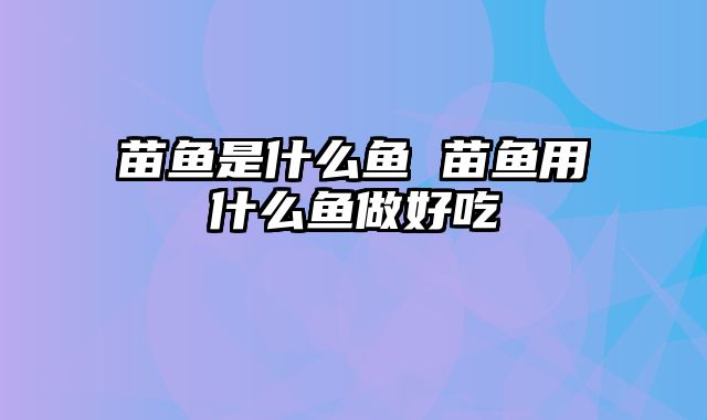 苗鱼是什么鱼 苗鱼用什么鱼做好吃