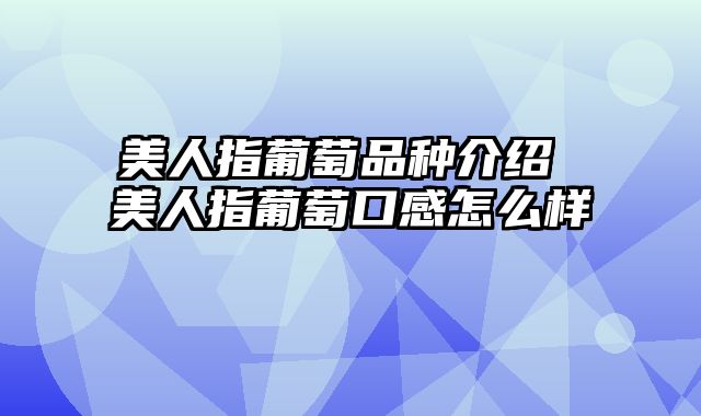 美人指葡萄品种介绍 美人指葡萄口感怎么样