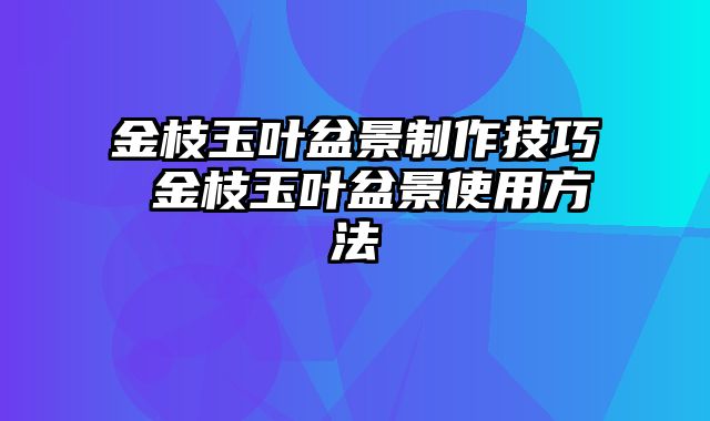 金枝玉叶盆景制作技巧 金枝玉叶盆景使用方法