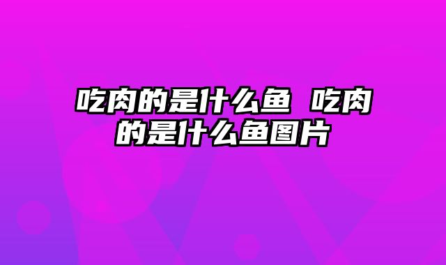 吃肉的是什么鱼 吃肉的是什么鱼图片