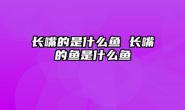 长嘴的是什么鱼 长嘴的鱼是什么鱼