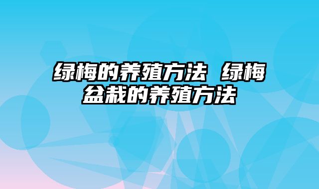 绿梅的养殖方法 绿梅盆栽的养殖方法