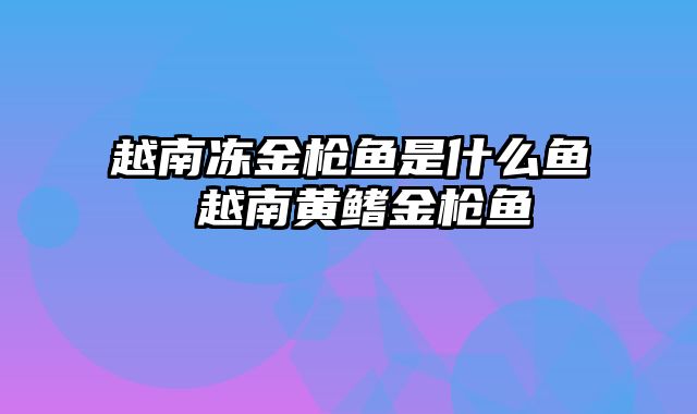 越南冻金枪鱼是什么鱼 越南黄鳍金枪鱼