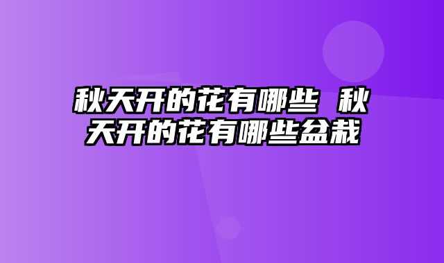 秋天开的花有哪些 秋天开的花有哪些盆栽