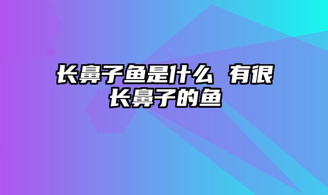 长鼻子鱼是什么 有很长鼻子的鱼