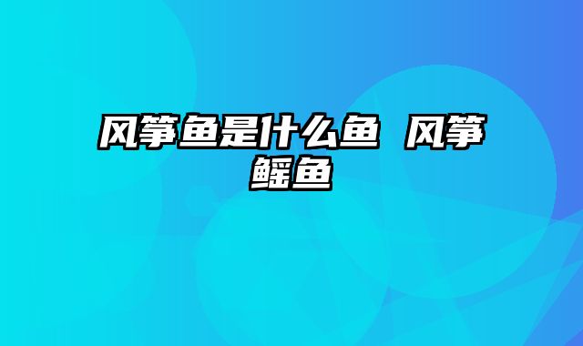 风筝鱼是什么鱼 风筝鳐鱼