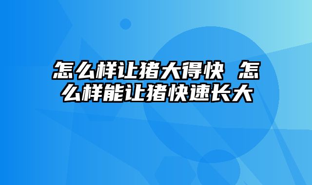 怎么样让猪大得快 怎么样能让猪快速长大