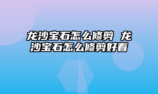 龙沙宝石怎么修剪 龙沙宝石怎么修剪好看