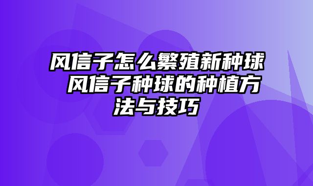 风信子怎么繁殖新种球 风信子种球的种植方法与技巧