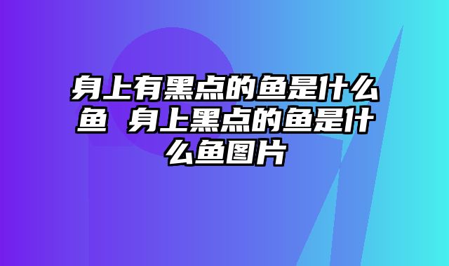 身上有黑点的鱼是什么鱼 身上黑点的鱼是什么鱼图片