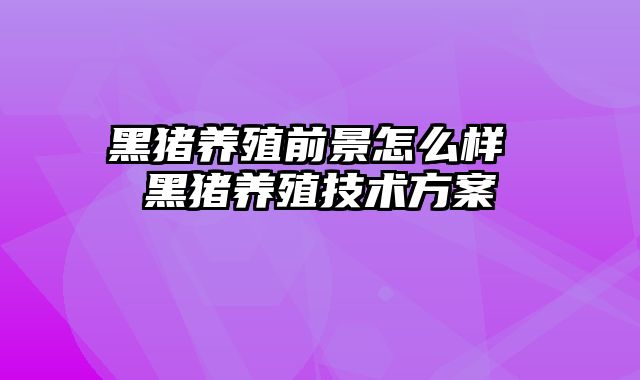 黑猪养殖前景怎么样 黑猪养殖技术方案