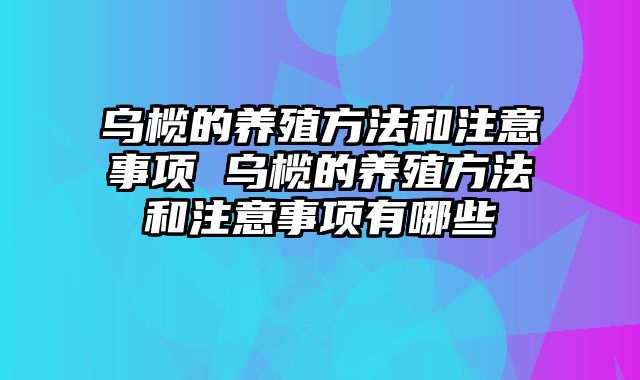 乌榄的养殖方法和注意事项 乌榄的养殖方法和注意事项有哪些