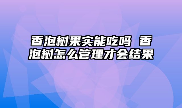 香泡树果实能吃吗 香泡树怎么管理才会结果